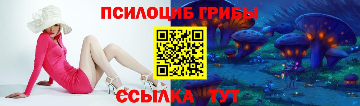 Псилоцибиновые грибы Psilocybe  Псилоцибиновые грибы MAGIC MUSHROOMS  Ессентуки  Вход с VPN 